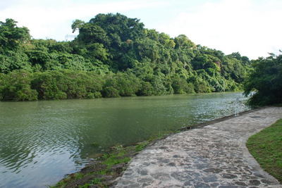 040906.jpg