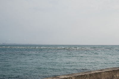050101.jpg