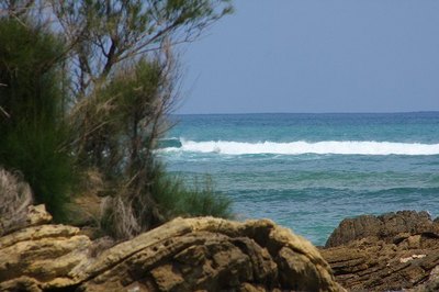 IMG_0800.jpg