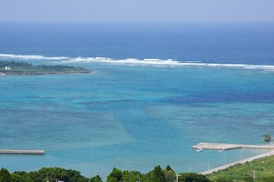 IMG_0838.jpg