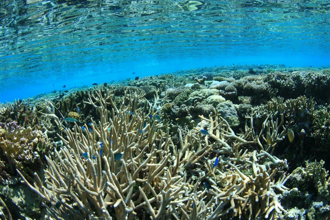 2012-2.jpg 2012-2.jpg