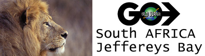 Jbay-banner.jpg