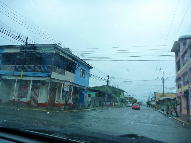 P1000081.jpg
