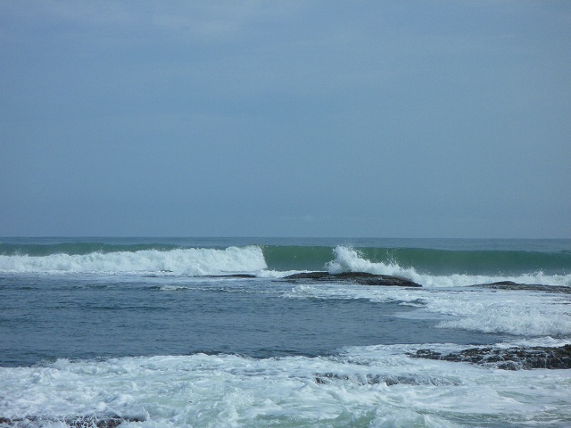 P1000223.jpg