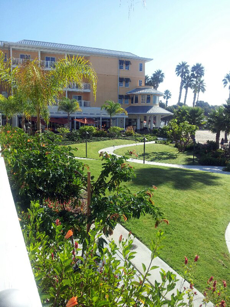 20120914_091137-1.jpg
