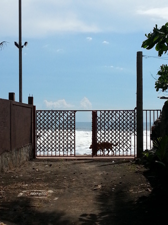 20131011_133344.jpg