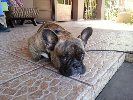 20131012_115958.jpg