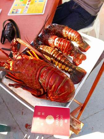 20131015_144856.jpg