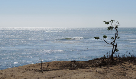 DSCN2164_7953.jpg
