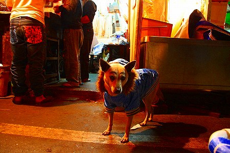 IMG_0034.jpg