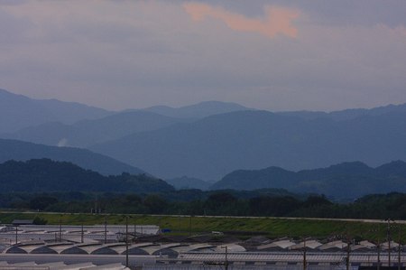 IMG_1036_4033.jpg