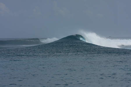 IMG_2525_20668.jpg