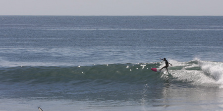 IMG_3410_6738.jpg