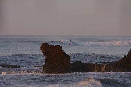 IMG_3566_6993.jpg
