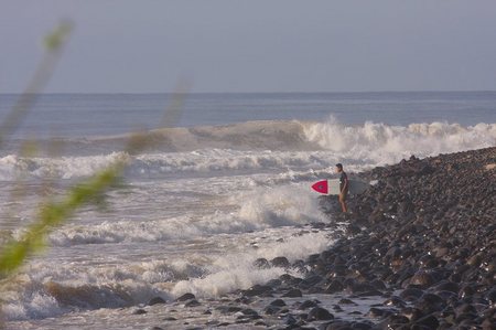 IMG_3688_7115.jpg