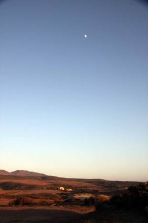 IMG_4184_7611.jpg