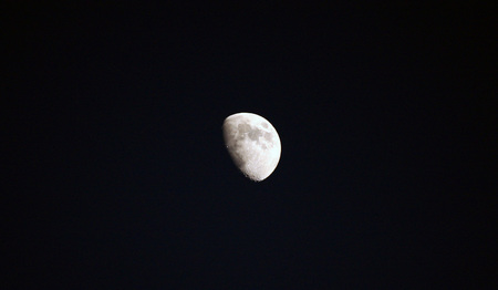 IMG_4250_7677.jpg