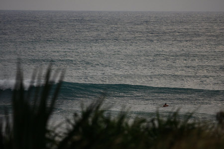 IMG_4895_9185.jpg