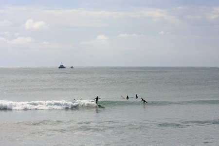 IMG_5064_9354.jpg