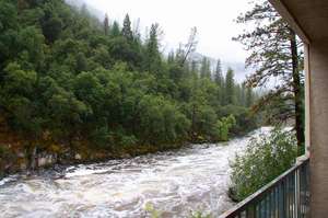 IMG_9924.jpg