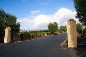 IMG_9948.jpg
