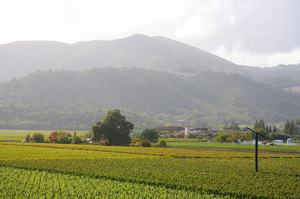 IMG_9962.jpg