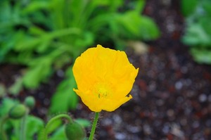 IMG_9970.jpg